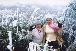 Tuyết bao phủ đỉnh Mẫu Sơn.