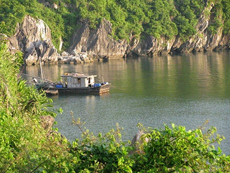 2-1368027123_500x0.jpg