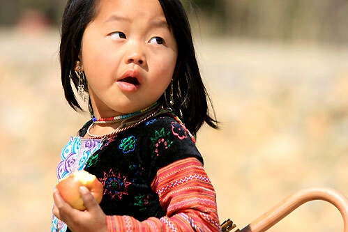 img6232-1368040747_500x0.jpg