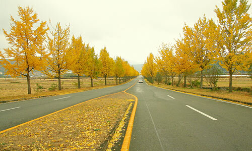 2-149196-1376116294_500x0.jpg