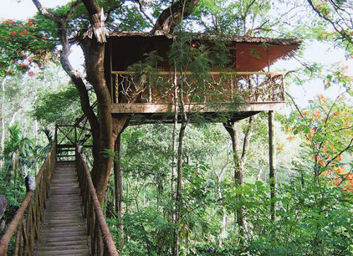 treehouse31469882i-103381-1368078927_500