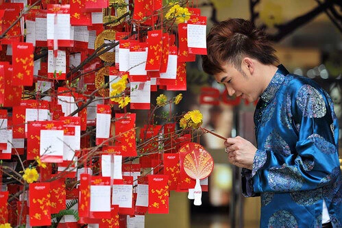 duong-trieu-vu3-694140-1368162652_500x0.