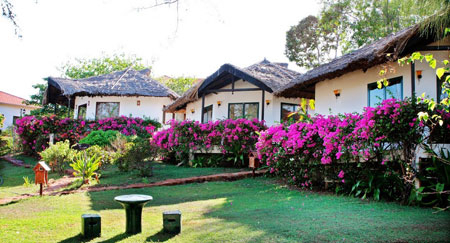 Phòng nghỉ bao quanh rợp bóng mát cây xanh.