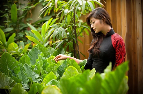 kim-phuong4-782671-1376042388_500x0.jpg
