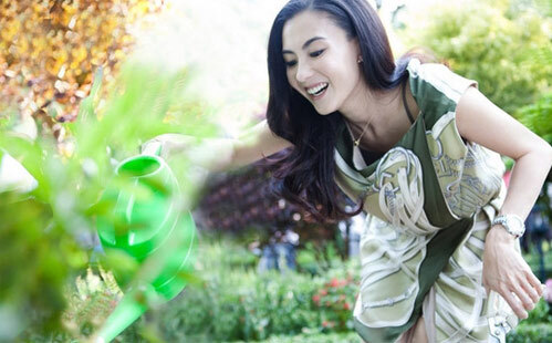 bachi10-171469-1368207142_500x0.jpg