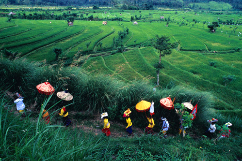Bali là hòn đảo của lễ hội, mỗi khi tới ngày lễ, người dân thường nô nức kéo nhau đi xem hội.