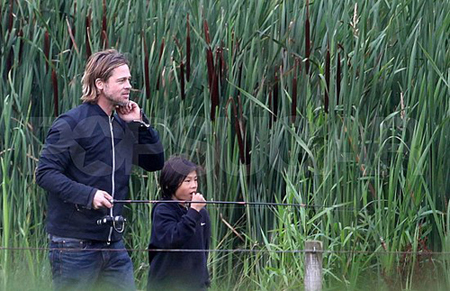 jolie-17-711097-1368189930_500x0.jpg