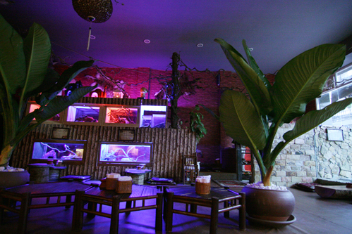 Hiện tại quán anh chưa nhiều những con thú, nhưng anh hy vọng trong tương lai gần sẽ làm một Pet Club với nhiều hơn nữa những sinh vật cảnh, tựa như một vườn cho mọi người đến chiêm ngưỡng. Hiện tại quán anh chưa nhiều những con thú, nhưng anh hy vọng trong tương lai gần sẽ làm một Pet Club với nhiều hơn nữa những sinh vật cảnh, tựa như một vườn cho mọi người đến chiêm ngưỡng.