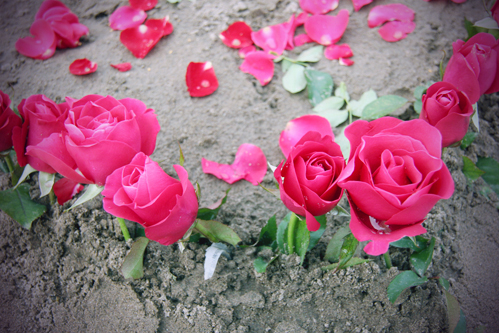 Những bông hồng được cắm trên cát và rải đều cánh hoa xung quanh. Những bông hồng được cắm trên cát và rải đều cánh hoa xung quanh.