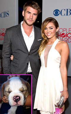 Miley khoe món quà đặc biệt cô tặng người yêu. Miley khoe món quà đặc biệt cô tặng người yêu.