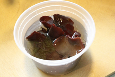 canh1-671381-1375791233_500x0.jpg