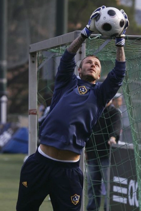 Becks Becks