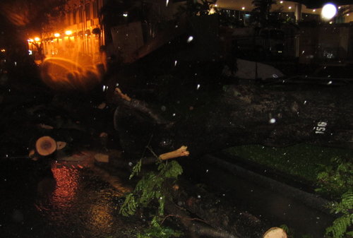 Trên đường Lê Duẫn, ngay bên cạnh Diamond Plaza, ngã tư Lê Duẫn Hai Bà Trưng và trước tòa nhà Petro Tower nhiều cây cỗ thụ đường kính hơn nữa mét bị bật góc, ngã chắn ngang đường khiến giao thông bị tắc nghẽn, nhiều người thót tim vì đang lưu thông trên đường. Trên đường Lê Duẫn, ngay bên cạnh Diamond Plaza, ngã tư Lê Duẫn Hai Bà Trưng và trước tòa nhà Petro Tower nhiều cây cỗ thụ đường kính hơn nữa mét bị bật góc, ngã chắn ngang đường khiến giao thông bị tắc nghẽn, nhiều người thót tim vì đang lưu thông trên đường.