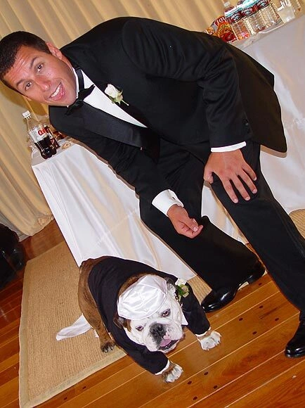 Chú rể Adam Sandler mặc bộ tuxedo cho chú chó bun Meatball trong lễ cưới của anh với Jackie Titone năm 2003. Chú rể Adam Sandler mặc bộ tuxedo cho chú chó bun Meatball trong lễ cưới của anh với Jackie Titone năm 2003.