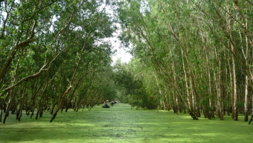 Thăm quan Trà Sư bằng thuyền. Thăm quan Trà Sư bằng thuyền.