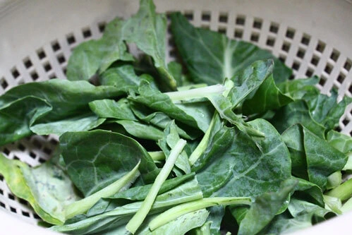Rau cải thái khúc ngắn vừa ăn. Rau cải thái khúc ngắn vừa ăn.