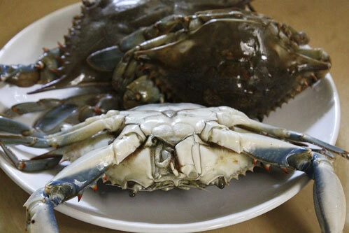 Chọn mua ba con ghẹ tươi, sạch. Chọn mua ba con ghẹ tươi, sạch.
