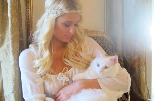 Paris Hilton Paris Hilton