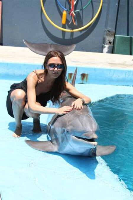 "Cô nàng mặt lạnh" Victoria Beckham nở nụ cười hiếm hoi bên một chú cá heo. Nữ ca sĩ đăng bức ảnh trên Twitter kèm theo dòng chia sẻ: "Những chú cá thật đẹp biết bao!". "Cô nàng mặt lạnh" Victoria Beckham nở nụ cười hiếm hoi bên một chú cá heo. Nữ ca sĩ đăng bức ảnh trên Twitter kèm theo dòng chia sẻ: "Những chú cá thật đẹp biết bao!".