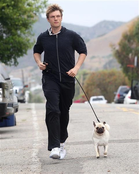 Ca sĩ Nick Carter Ca sĩ Nick Carter