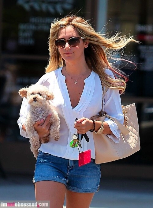 Ashley Tisdale đi mua sắm cùng cô bạn nhỏ. Ashley Tisdale đi mua sắm cùng cô bạn nhỏ.