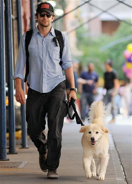 Tài tử "Hangover" Bradley Cooper Tài tử "Hangover" Bradley Cooper