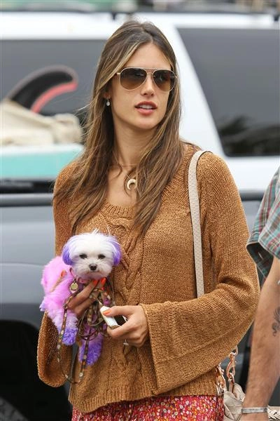 Siêu mẫu Alessandra Ambrosio Siêu mẫu Alessandra Ambrosio