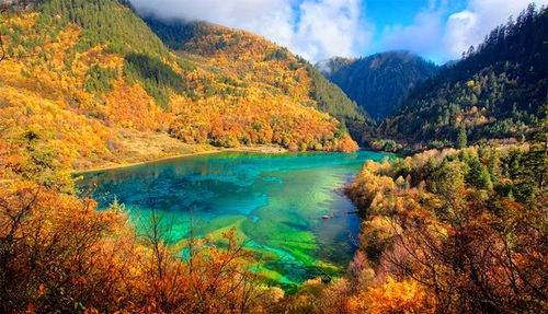 Mùa thu ở Cửu Trại Câu. Mùa thu ở Cửu Trại Câu.