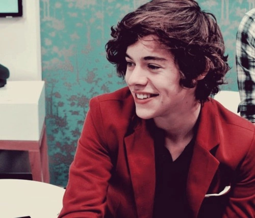 Harry Styles. Harry Styles.
