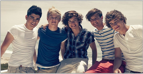 onedirection1-690160-1368256226_500x0.jp
