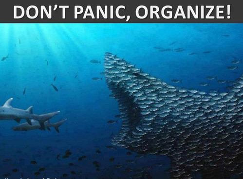 7organize-566757-1368318053_500x0.jpg