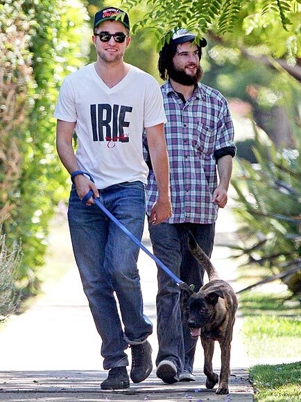 Robert Pattinson nhận nuôi chú chó Bear hồi tháng 2/2011. Robert Pattinson nhận nuôi chú chó Bear hồi tháng 2/2011.