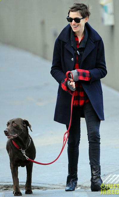 Anne Hathaway takes her dog Esmeralda for a walk with a pal on Sunday afternoon (November 18) in Brooklyn, N.Y. Anne Hathaway takes her dog Esmeralda for a walk with a pal on Sunday afternoon (November 18) in Brooklyn, N.Y.