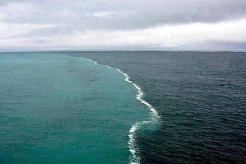 Cape Point, South Africa - Nơi giao nhau giữa Ấn Độ Dương và Đại Tây Dương Cape Point, South Africa - Nơi giao nhau giữa Ấn Độ Dương và Đại Tây Dương