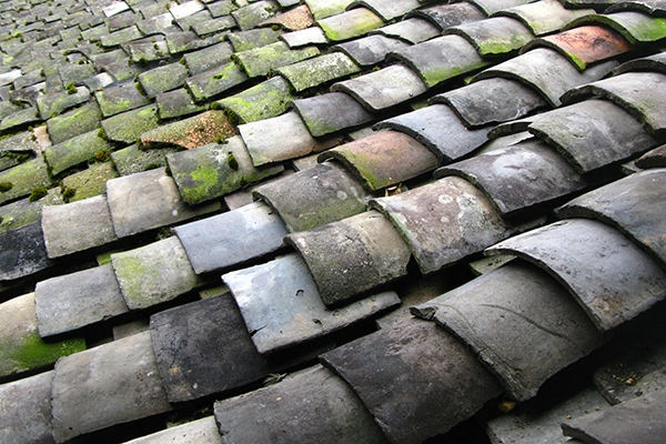 nhapao6-923146-1368287326_600x0.jpg