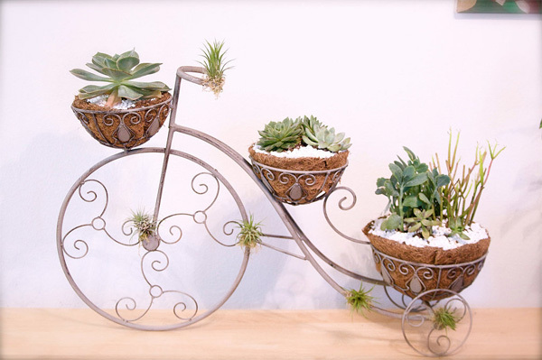 Xe đạp nhỏ xinh chở những chậu hoa bé tý tẹo. Xe đạp nhỏ xinh chở những chậu hoa bé tý tẹo.