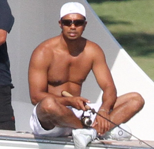 tiger1-298565-1368778601_600x0.jpg