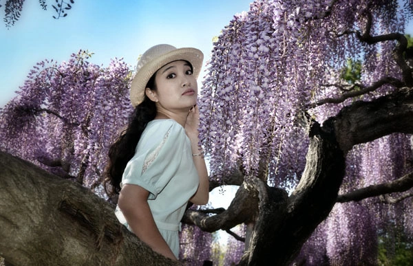 Đa số là hoa tử đằng(hay còn gọi là wisteria ), loài hoa tượng trưng cho tình yêu bất diệt với những suối hoa mang vẻ đẹp dịu dàng, sự bình yên và lãng mạn . Đây cũng là một trong những loài hoa có nguồn gốc từ cổ xưa nhất trên quần đảo Nhật Bản.Loài hoa này thường nở rộ từ tháng tư cho đến hết tháng năm. Đa số là hoa tử đằng(hay còn gọi là wisteria ), loài hoa tượng trưng cho tình yêu bất diệt với những suối hoa mang vẻ đẹp dịu dàng, sự bình yên và lãng mạn . Đây cũng là một trong những loài hoa có nguồn gốc từ cổ xưa nhất trên quần đảo Nhật Bản.Loài hoa này thường nở rộ từ tháng tư cho đến hết tháng năm.
