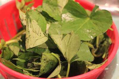 canh-khoia-lang-824753-1372736962_600x0.