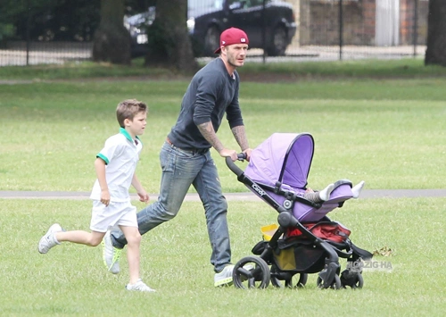 harper8-196125-1373888030_600x0.jpg