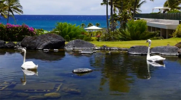 Kaua'i, Hawaii (xem clip) Kaua'i, Hawaii (xem clip)