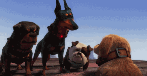 up-dogs-1377142239.gif