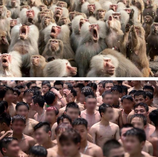 cvien1.jpg