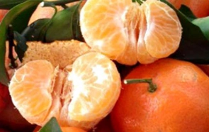 thu-tai-phan-biet-trai-cay-viet-nam-va-trung-quoc-1