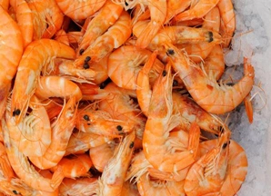 nhung-mon-an-de-nham-co-nhieu-canxi-10