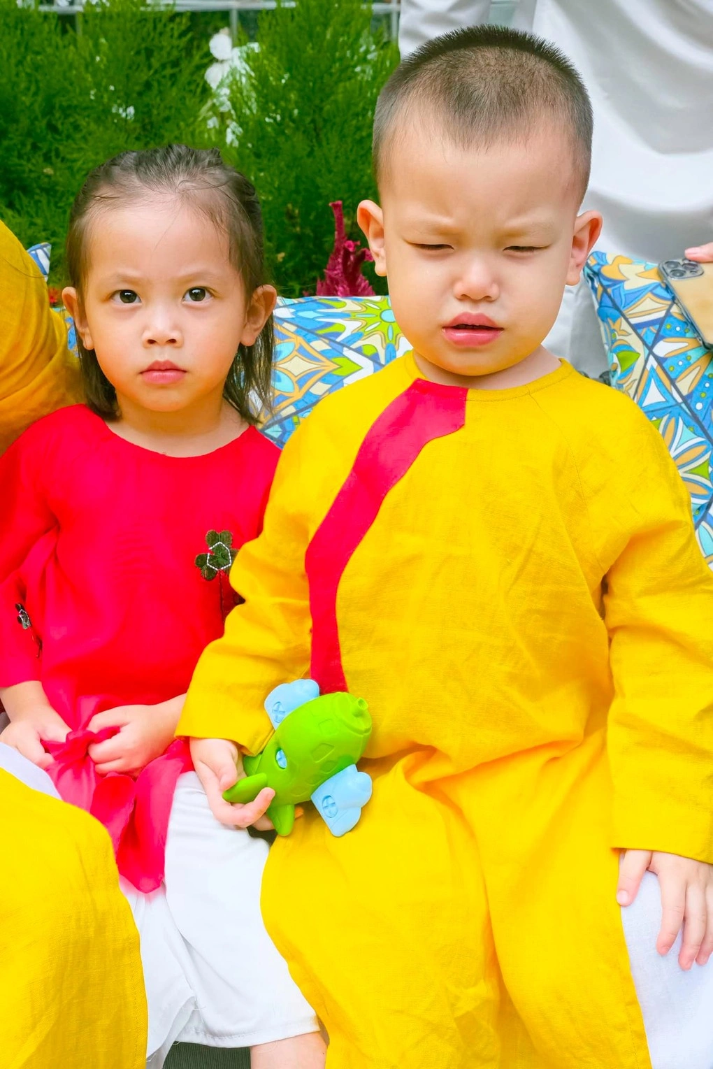 Hình ảnh