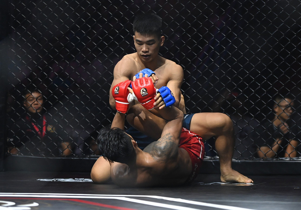 Hình ảnh