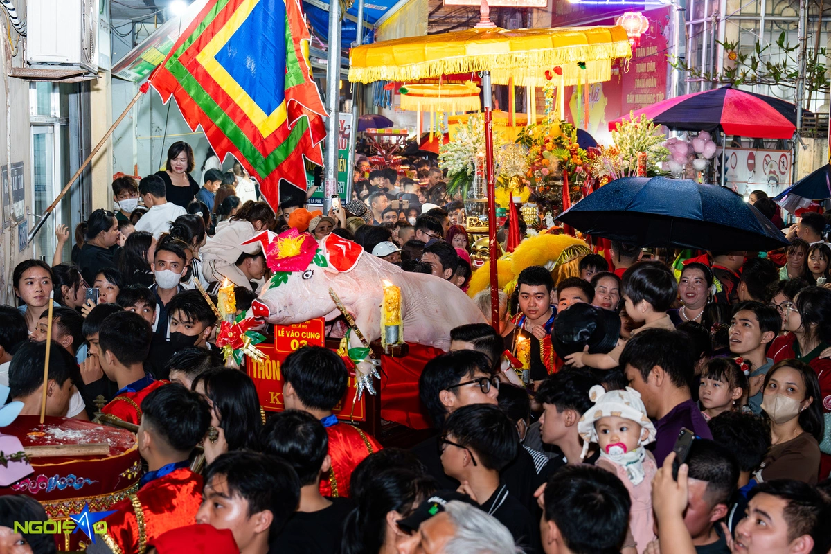 Hình ảnh