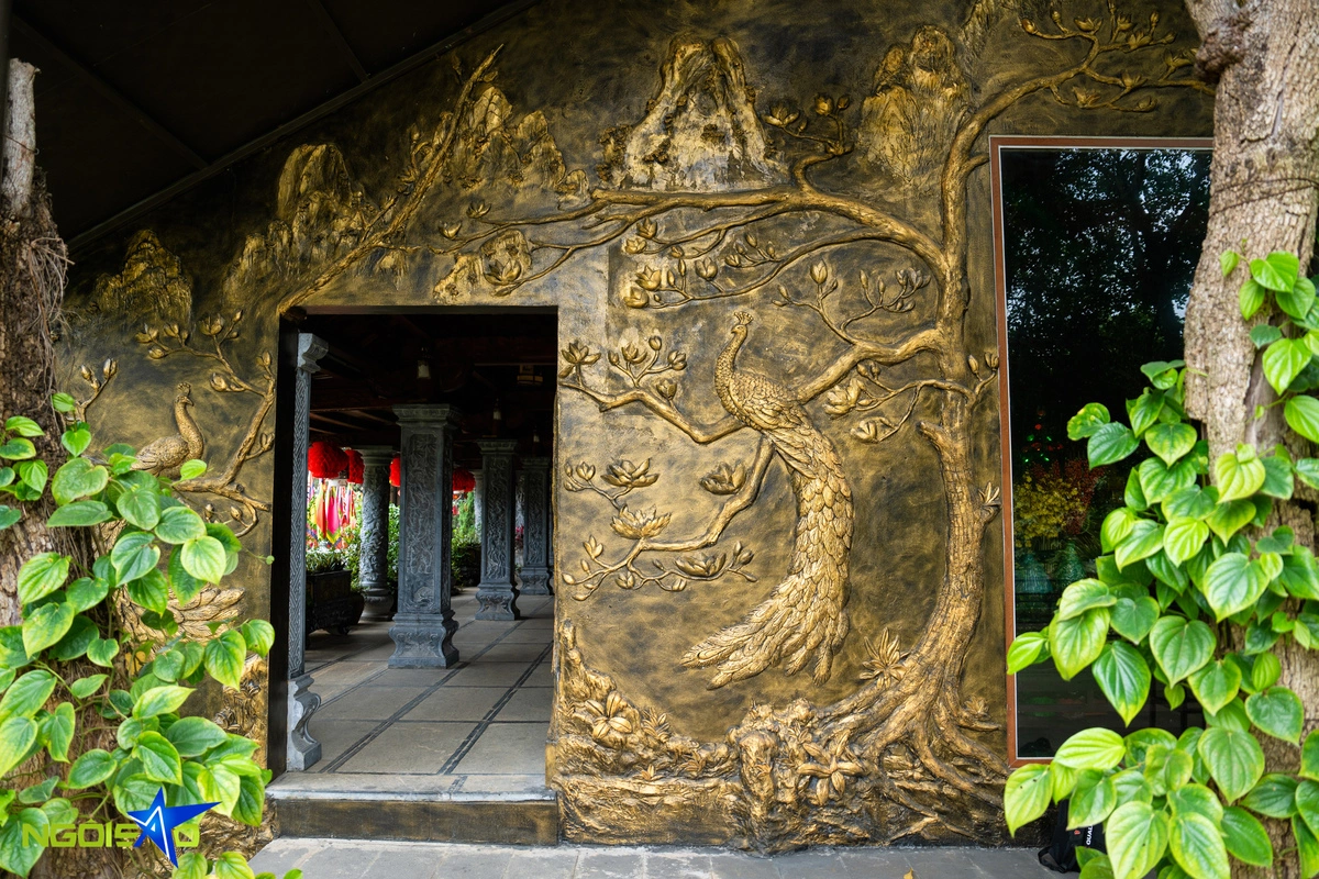 Hình ảnh