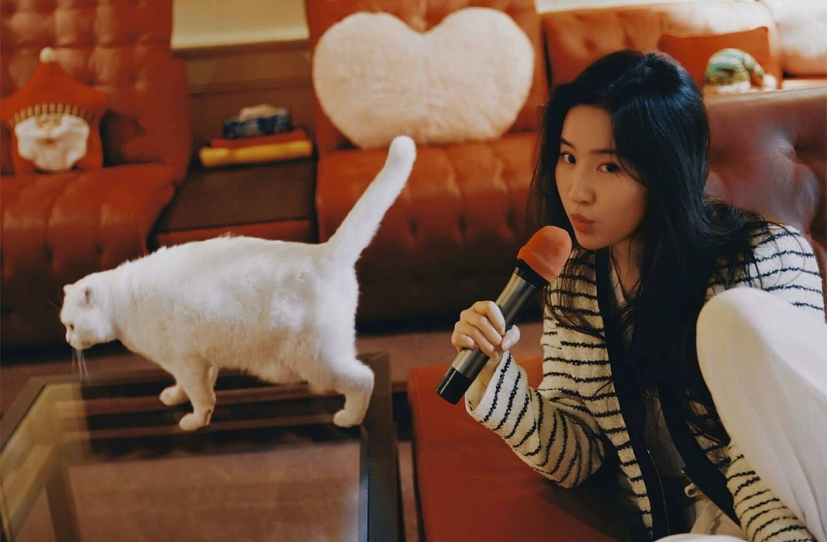 Hình ảnh